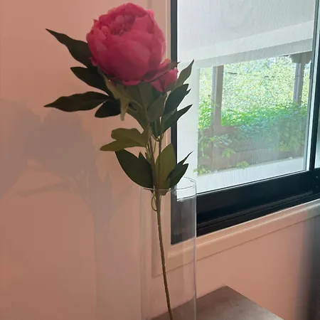 Apartament Flh - Feel Like Modern 1-bedroom Ground Floor In Strovolos *