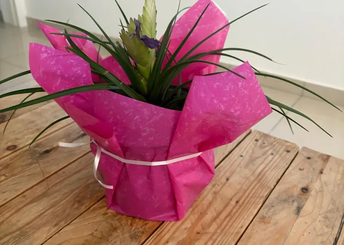 Flh - Feel Like Modern 1-bedroom Ground Floor In Strovolos * ラカタミア