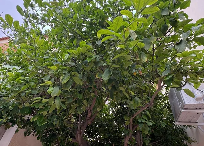 Flh - Feel Like Modern 1-bedroom Ground Floor In Strovolos