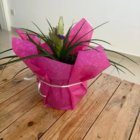 Flh - Feel Like Modern 1-bedroom Ground Floor In Strovolos * Lakatamia