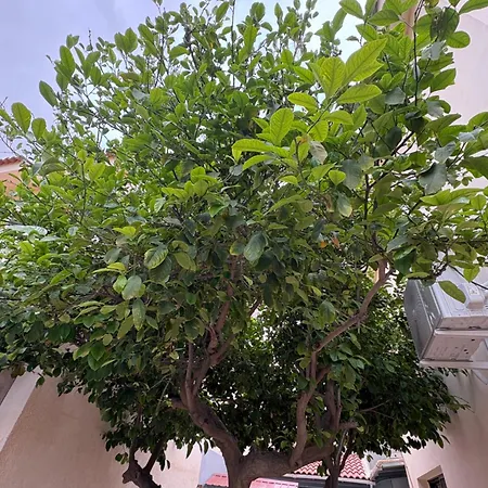 Modern 1-bedroom Ground Floor In Strovolos